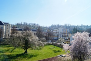 Ausblick vom Grundstück Richtung Veitsburg